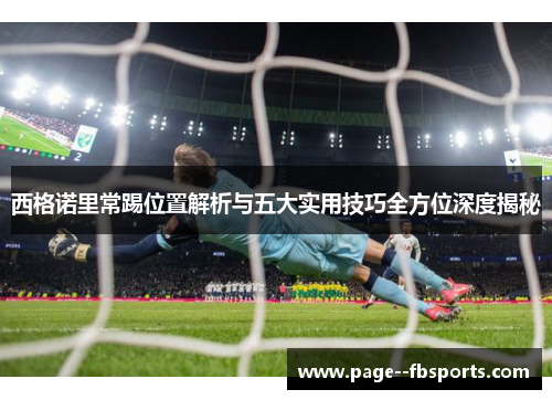 西格诺里常踢位置解析与五大实用技巧全方位深度揭秘